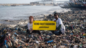Read more about the article Fast Fashion’s Environmental Toll: A Wake-Up Call for Millennials and Gen Z