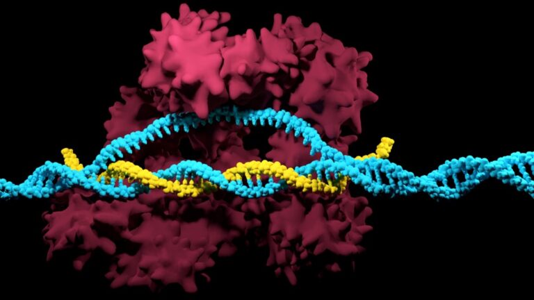 Ultimate Guide to Gene Editing: CRISPR, Ethics & Future Vibes for Gen Z & Millennials 🌟