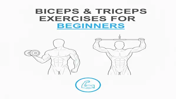 Biceps and Triceps Exercises for Beginners: Your Complete Guide